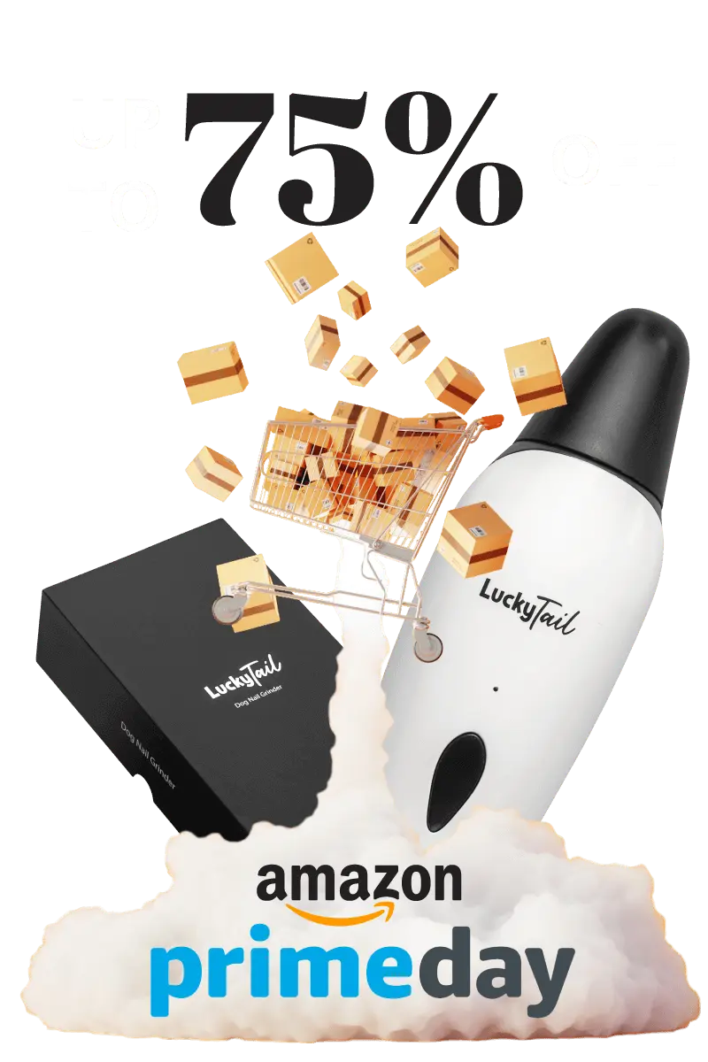 LT_Amazon_Prime_800x1200_hero_mobile