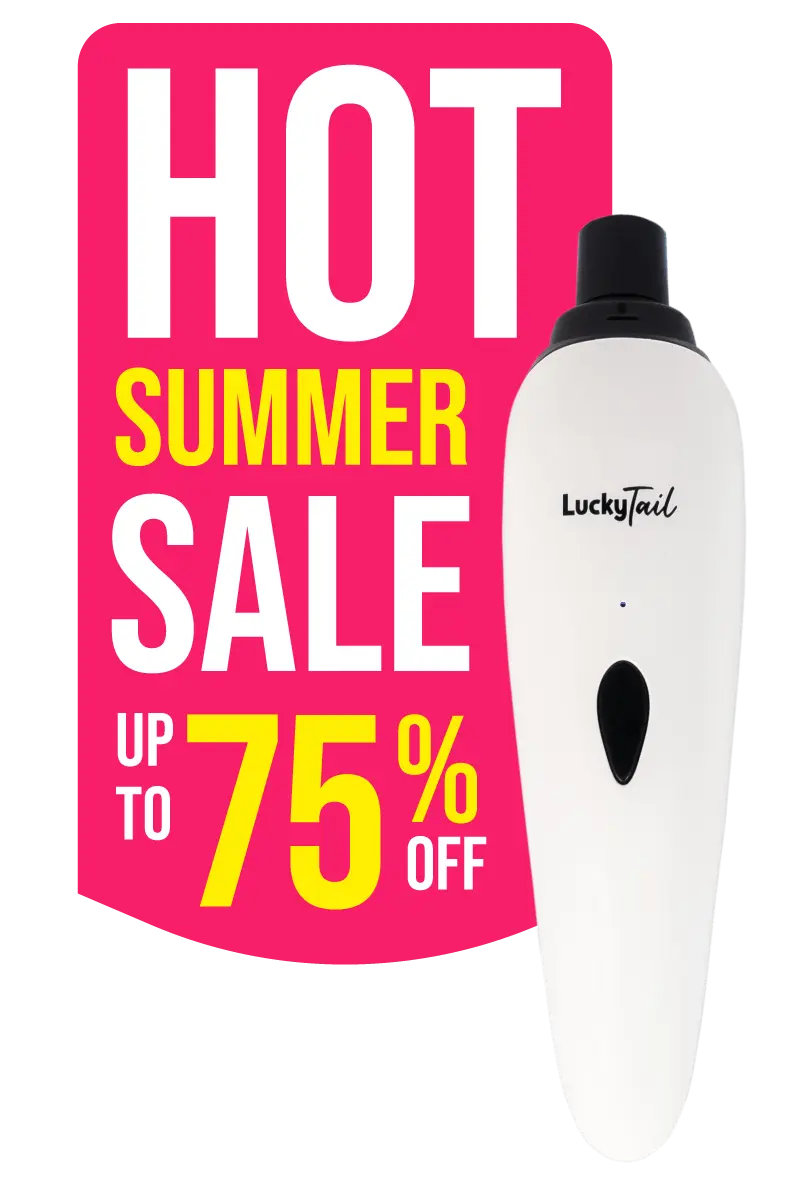 LT_summer_sale_800x1200_hero_mobile
