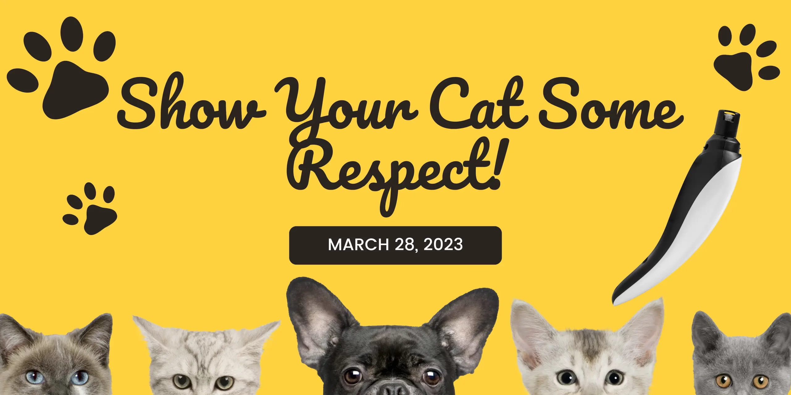 Show Your Cat Some Respect